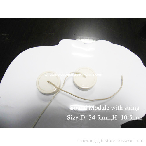 Mini Sound Module with String